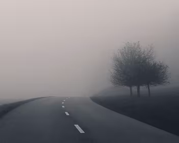 Eerie Path Empty curving asphalt road fades into dense fog beside two leafless trees.