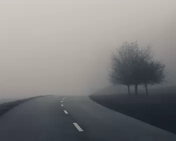 Eerie Path Empty curving asphalt road fades into dense fog beside two leafless trees.