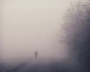 Morning Quietude A peaceful Saturday morning walk through mist and silence - a serene moment capturing the calm before the world awakens.