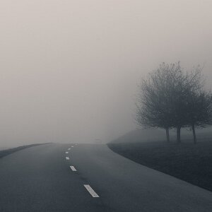 Fog Quiet landscapes shaped by fog, where form dissolves and atmosphere takes over.