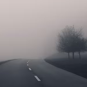 Fog Quiet landscapes shaped by fog, where form dissolves and atmosphere takes over.